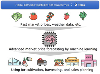 Vegetable market price forecasting.