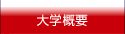大学概要