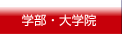 学部・大学院