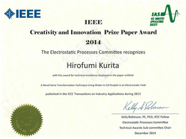 IEEE Creativity and Innovation Prize Paper Award 2014