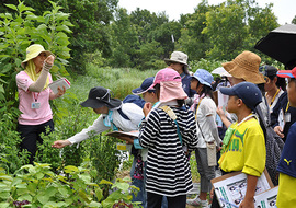 第6回しんきん夏の学校