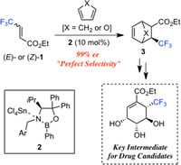 Enantioselective Diels-Alder Reaction of 4,4,4-Trifluorocrotonates.