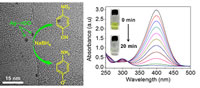 Figure 1: (Left) Transmission electron microscopy image of Ag-rGO nanohybrids. The inset shows the catalytic conversion of 4-nitrophenol to 4-aminophenol. Figure 2 (Right) Absorption spectra of 4-nitrophenol decreases in intensity and its color fades (inset) due to catalytic conversion.