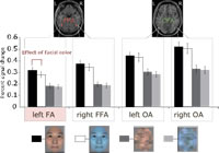 Figure 1: Results of the ROI analyses, which suggests that the left FFA was sensitive to facial color.