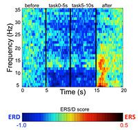 Figure 1: Power spectrum during silent reading at C3 (left-central region).