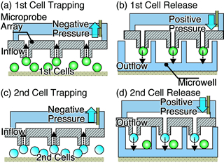 Figure2