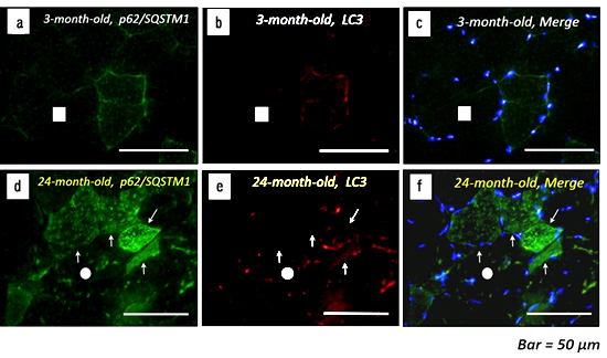 Figure1