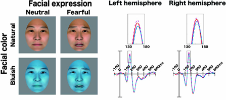 Examples of the target face images and results of the ERPs