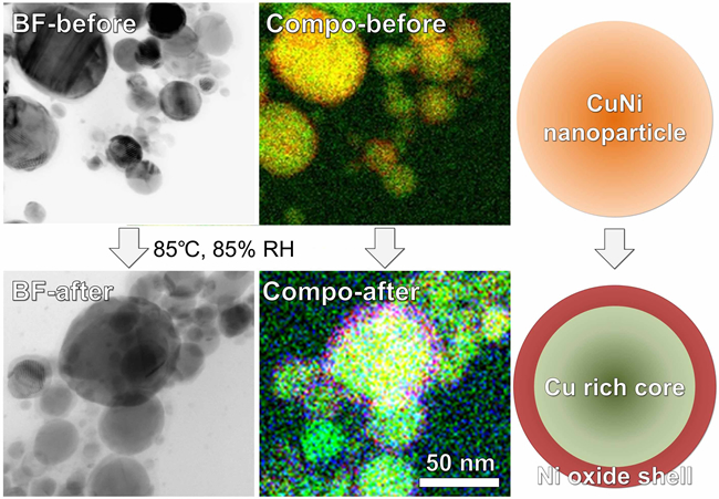 Bright-field (BF) scanning transmission electron microscope images, composed (Compo) elemental mappings, and illustrations of Cu alloy nanoparticles containing 30% Ni before and after oxidation treatment at 85 °C and 85% relative humidity.