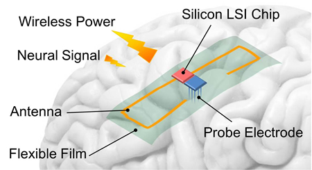 Proposed architecture of the implantable device composed of flexible antenna and CMOS circuits for wireless-powered neural interface systems