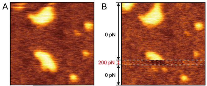 Fig.2