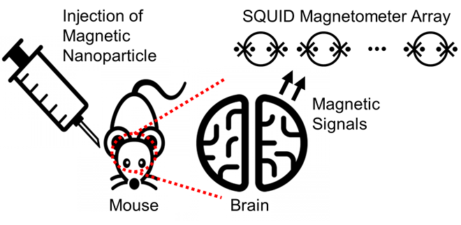 Fig.1