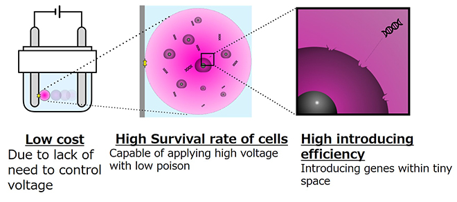 Fig.2