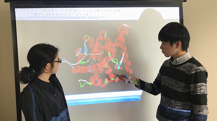 Chirality of vitamin-D derivative affects the protonation states of its receptor protein