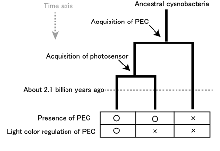 Fig.2