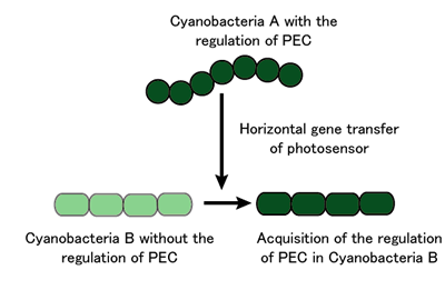 Fig.3