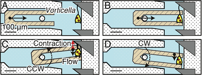 Fig.1