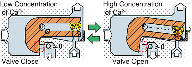 Fig.2