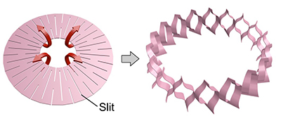 Fig.1