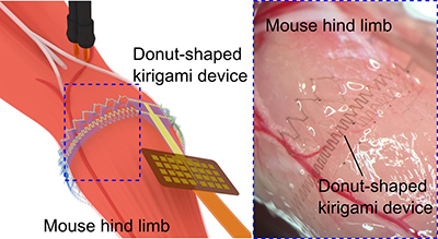 Fig.3