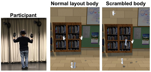 Experimental participant (left), the corresponding normal placement stimulus (center), and the scrambled body stimulus (right).