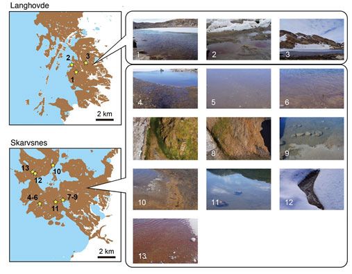 Fig. 1 Sites of sample collection