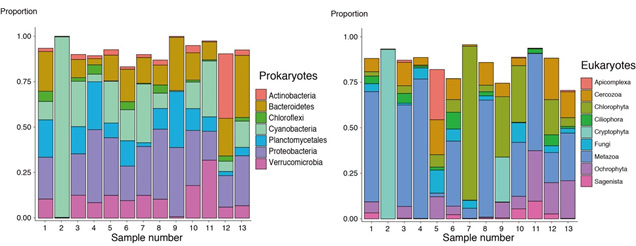 Fig. 2 Proportion of taxa of prokaryotes (left) and eukaryotes (right) identified in this study