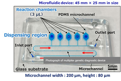 Photograph of multiplex genetic diagnostic device