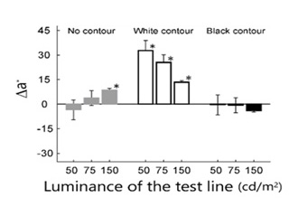 Quantitative results showing the appearance of the colors of the optical illusion using a matching experiment. Vertically, the line appears redder as it ascends. The horizontal numbers denote the brightness of the gray line. Under conditions of a border formed with white lines, we can see that it turns a strong reddish hue.