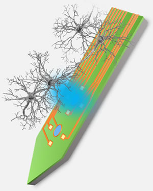 Neural probe integrated with MicroLEDs and neural recording electrodes