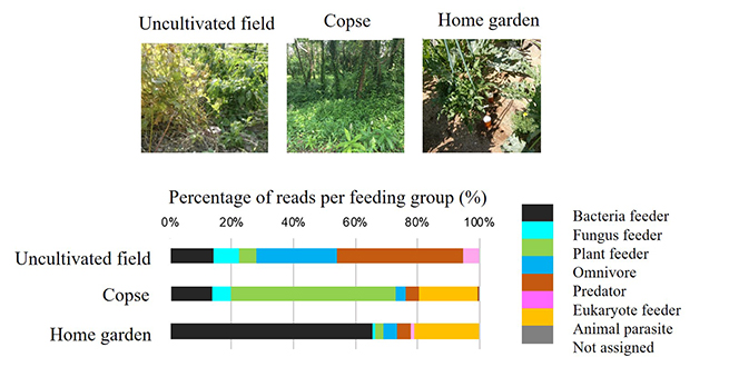 Soil sampling sites (top)　Classification of soil nematode communities by feeding group (results for barcode region 4) (bottom)