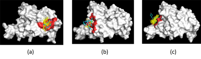 Epitope search for antibody’s antigen‐binding sequence on the spike protein of SARS-CoV-2. Binding sites for (a) SGIST, (b) LDYYY, (c) YYEAR