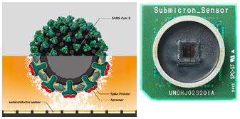 The image of detecting coronavirus (left) and semiconductor sensor (right)