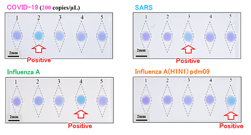 Results of multiplexed rapid diagnosis of infectious diseases. The reaction chamber corresponding to the targeted virus changed color from purple to sky blue, which was diagnosed as positive.