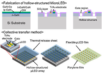 Technology to fabricate a flexible microLED film.Technology to form a hollow structure of microLED (Upper) MicroLED array batch transfer technology (Lower).