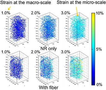 Strain evaluation at the multiscale. It is observed that while natural rubber only (NR only) deforms uniformly, rubber with filling fiber (With fiber) deforms nonuniformly.