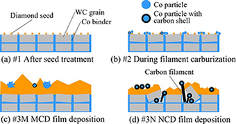 Non-uniform formation mechanism revealed