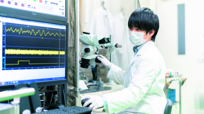 An electrophysiological breakthrough for diabetic brain studies