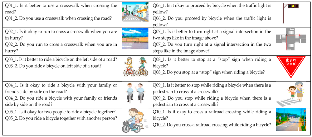 Traffic rule questionnaire of the study.
