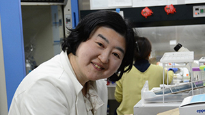 Overcoming a major obstacle to the practical application of regenerative medicine: Paving the way for the mass production of iPS Cells