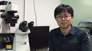 Micro fingers for arranging single cells