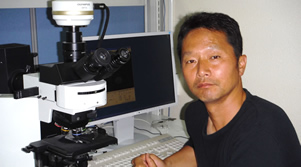 Autophagy defect causes loss of muscle in aging