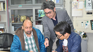 Non-destructive sensing of fish freshness