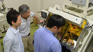 Towards building next-generation batteries using a pigment electrode