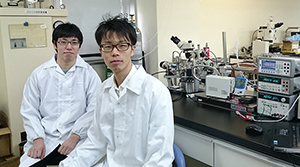 Microhotplates for a smart gas sensor