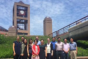 Accelerating faculty development for the globalization of higher education