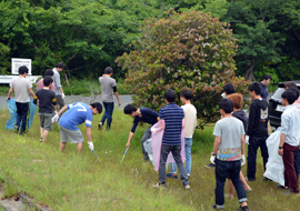 清掃活動の様子