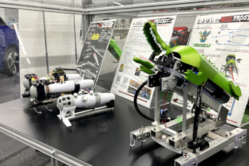 展示の様子