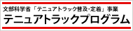 テニュアトラック普及・定着事業