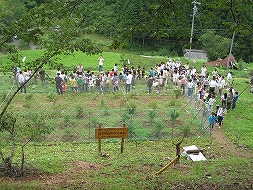 七郷一色地区自然・作物観察